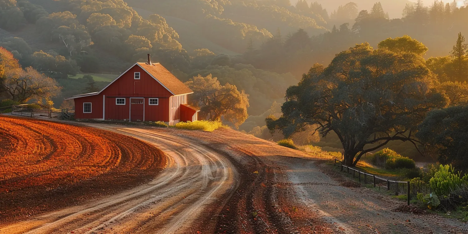 Agroturystyka dla dzieci pomorskie