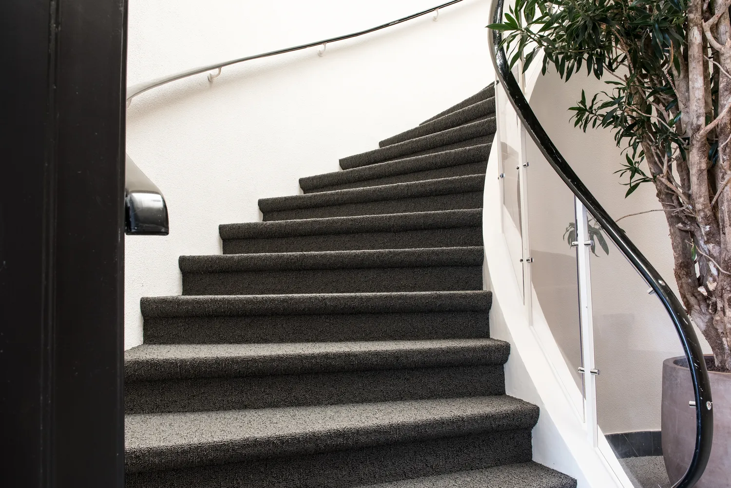  Profesjonalne wyposażenie firmy świadczącej usługi prania wykładzin i dywanów